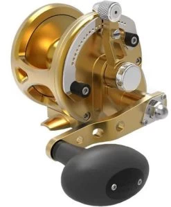 Avet JX G2 6.0 Single Speed Reel Gold