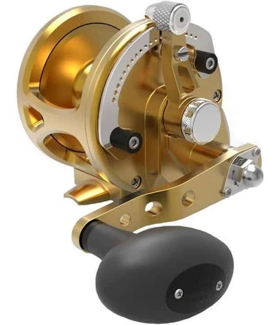 Avet JX G2 6.0 Single Speed Reel Gold 3 Avet JX G2 6.0 Single Speed Reel Gold