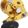 Avet MXJ 5.8 G2 MC 1 Speed Reel - Gold (No Glide Plate) -Visserij Vondsten avet mxj 5 8 g2 mc rh gd ngp reel 83132.1651417668.386.513