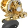 Avet MXJ G2 6/4 2-Speed Reel Gold