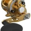 Avet SX G2 5.3 Single Speed Reel Gold