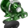 Avet SXJ 6/4 MC Raptor 2-Speed Lever Drag Casting Reel Green -Visserij Vondsten avet sxj 64 mc raptor 2 speed lever drag casting reel green 06103.1650992238