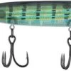 Berkley J-Walker Saltwater 2 Berkley J-Walker Saltwater -Visserij Vondsten berkley j walker saltwater 93918.1651445902.386.513