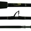 Blackfin Saltwater Bottom Fishing Rods -Visserij Vondsten blackfin saltwater bottom fishing rods 39877.1651075238