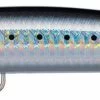 Daiwa Salt Pro Minnow Bullet 1 Daiwa Salt Pro Minnow Bullet -Visserij Vondsten daiwa salt pro minnow bullet 32084.1651257307
