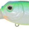 Duckett Fishing BD Sculpo XD Crankbait - Citrus Shad -Visserij Vondsten duckett fishing mxsxd cts bd sculpo xd crankbait 69415.1651410922.386.513