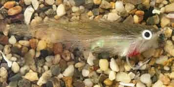 Enrico Puglisi Rattle Finger Mullet Saltwater Fly 3 Enrico Puglisi Rattle Finger Mullet Saltwater Fly
