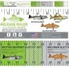 Florida Inshore Slam Release Ruler Decal 2 Florida Inshore Slam Release Ruler Decal -Visserij Vondsten florida inshore slam release ruler decal 45336.1651173462.386.513