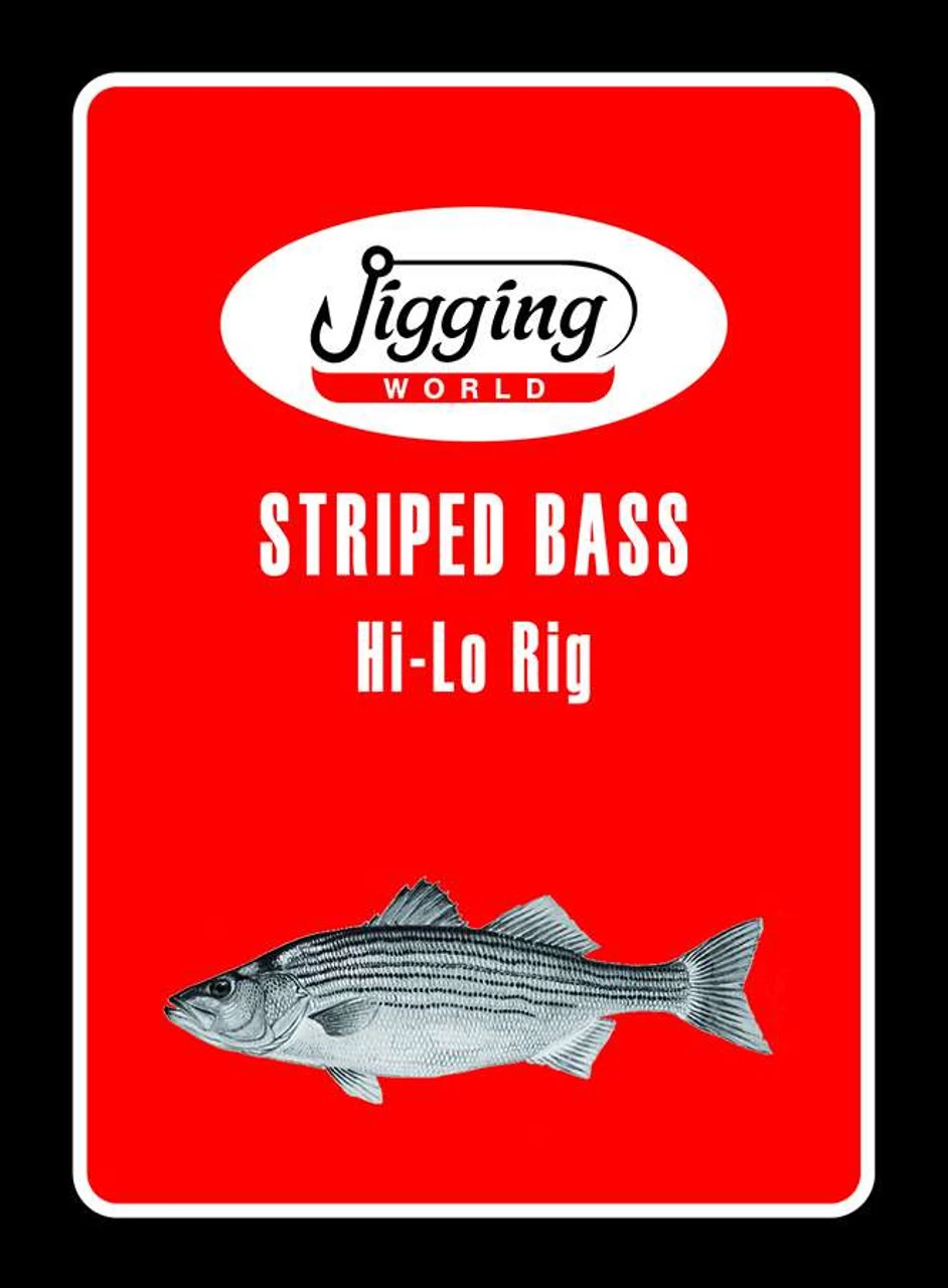 Jigging World Striped Bass Hi-Lo Inline Circle Hook Rigs 3 Jigging World Striped Bass Hi-Lo Inline Circle Hook Rigs