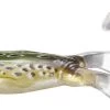LIVETARGET Freestyle Frog 1 LIVETARGET Freestyle Frog -Visserij Vondsten livetarget freestyle frog 87446.1651247470
