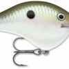 Rapala Dives To Crankbait Lure - DT10 GGSD Green Gizzard Shad
