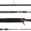 Shakespeare Ugly Stik GX2 Ladies Casting And Spinning Rods -Visserij Vondsten shakespeare ugly stik gx2 ladies casting and spinning rods 32413.1650782286