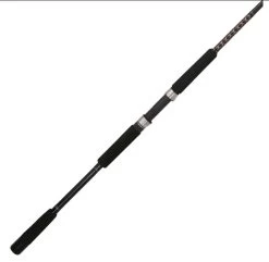Shakespeare USBWSF1025S802 Ugly Stik Bigwater Spinning Rod