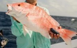 Sharkbanz Fishing Zeppelin -Visserij Vondsten sharkbanz sbf 0zep zeppelin 76776.1651418536