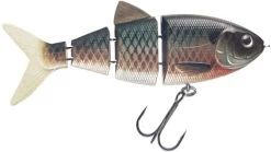 SPRO 4in. Swim Baits -Visserij Vondsten spro 4in swim baits 29538.1671569414