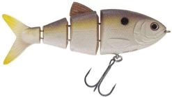 SPRO 4in. Swim Baits -Visserij Vondsten spro 4in swim baits 39296.1671569413