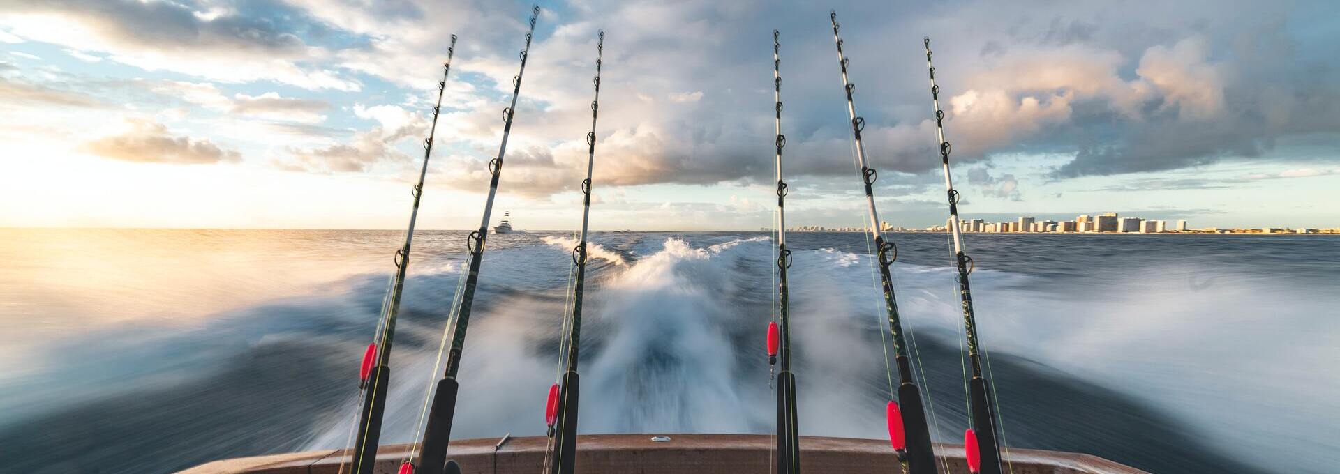 Visserij Vondsten 2 Visserij Vondsten -Visserij Vondsten stephen momot UivGzIDhVyw unsplash