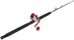 Accurate Valiant BVL-600S / TackleDirect Platinum Hook Sailfish Combo
