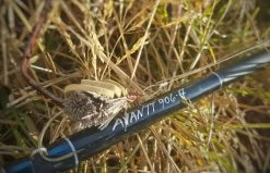 Thomas & Thomas Avantt Series Fly Rods -Visserij Vondsten thomas thomas avantt series fly rods 92418.1651330433