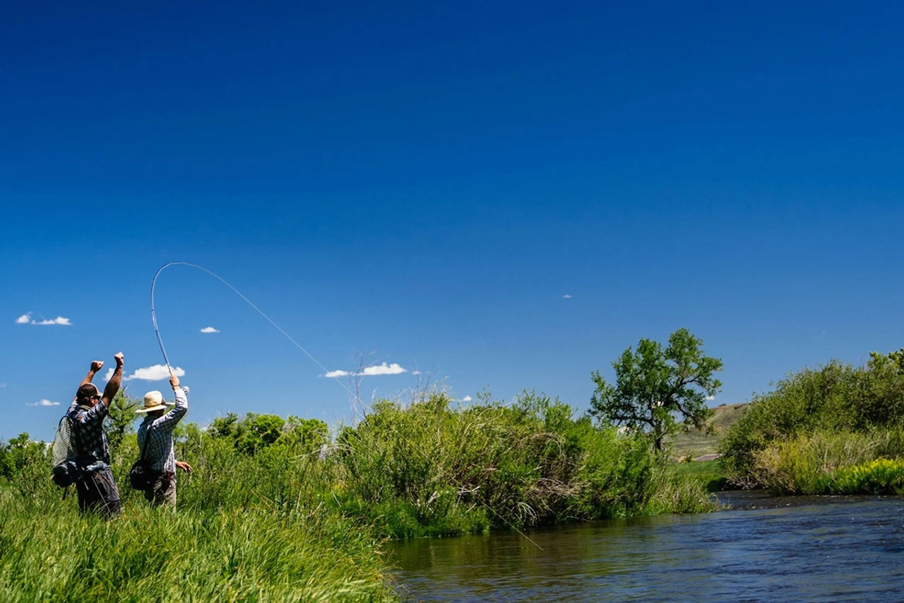 Thomas & Thomas Lotic Series Fly Rods 5 Thomas & Thomas Lotic Series Fly Rods - Image 3