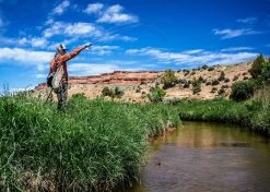 Thomas & Thomas Lotic Series Fly Rods 9 Thomas & Thomas Lotic Series Fly Rods -Visserij Vondsten thomas thomas lotic series fly rods 43205.1651330459