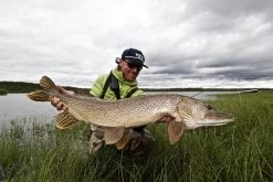 Thomas & Thomas Exocett Predator Fly Rod - 9 Ft. 4 In. - 45 Grain -Visserij Vondsten thomas thomas predator 94450 4 exocett predator fly rod 49198.1651330451