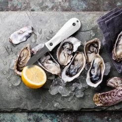 Toadfish Professional Edition Oyster Knife -Visserij Vondsten toadfish professional edition oyster knife 11609.1651368944