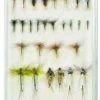Umpqua 09274 Eastern Trout Deluxe Selection